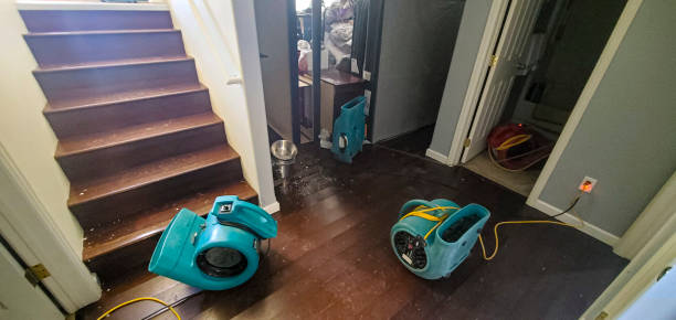 Best Local water damage restoration  in Malakoff, TX
