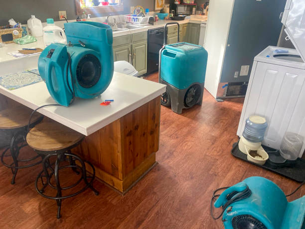 Best Ceiling water damage repair  in Malakoff, TX