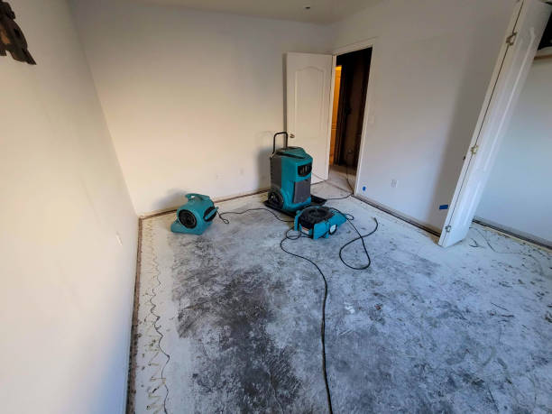 Best Flood damage cleanup  in Malakoff, TX