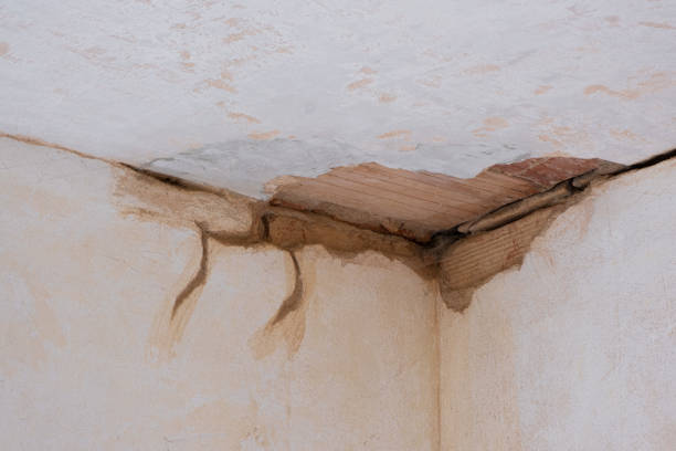 Best Water damage restoration specialists  in Malakoff, TX