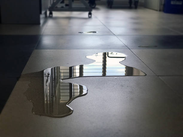 Best 24/7 water damage repair  in Malakoff, TX