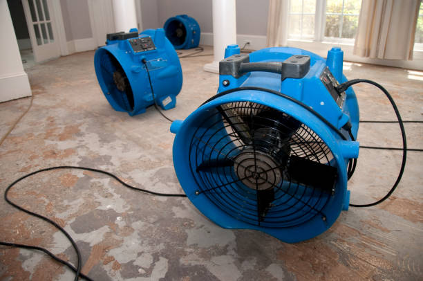  Malakoff, TX Water damage restoration Pros