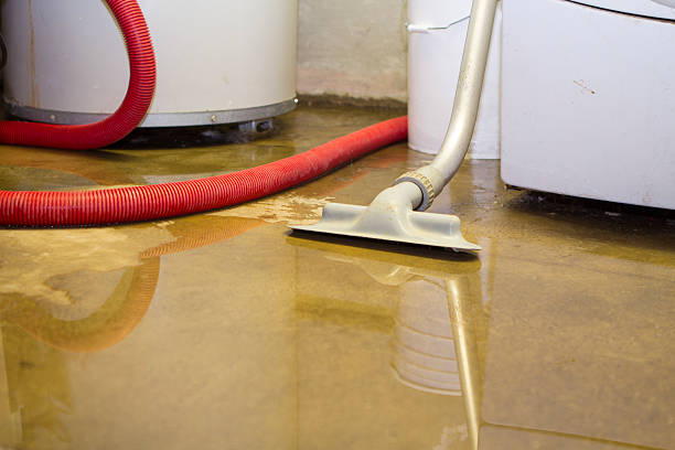 Best Sewage cleanup and water damage restoration  in Malakoff, TX