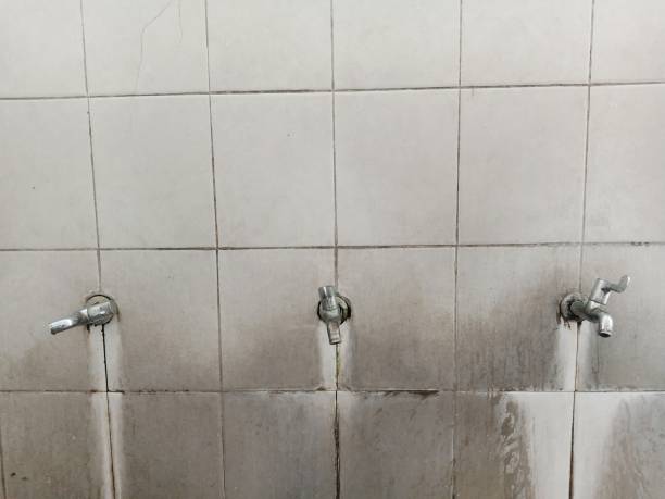 Best Water damage restoration services  in Malakoff, TX