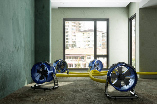 Best Water damage restoration near me  in Malakoff, TX